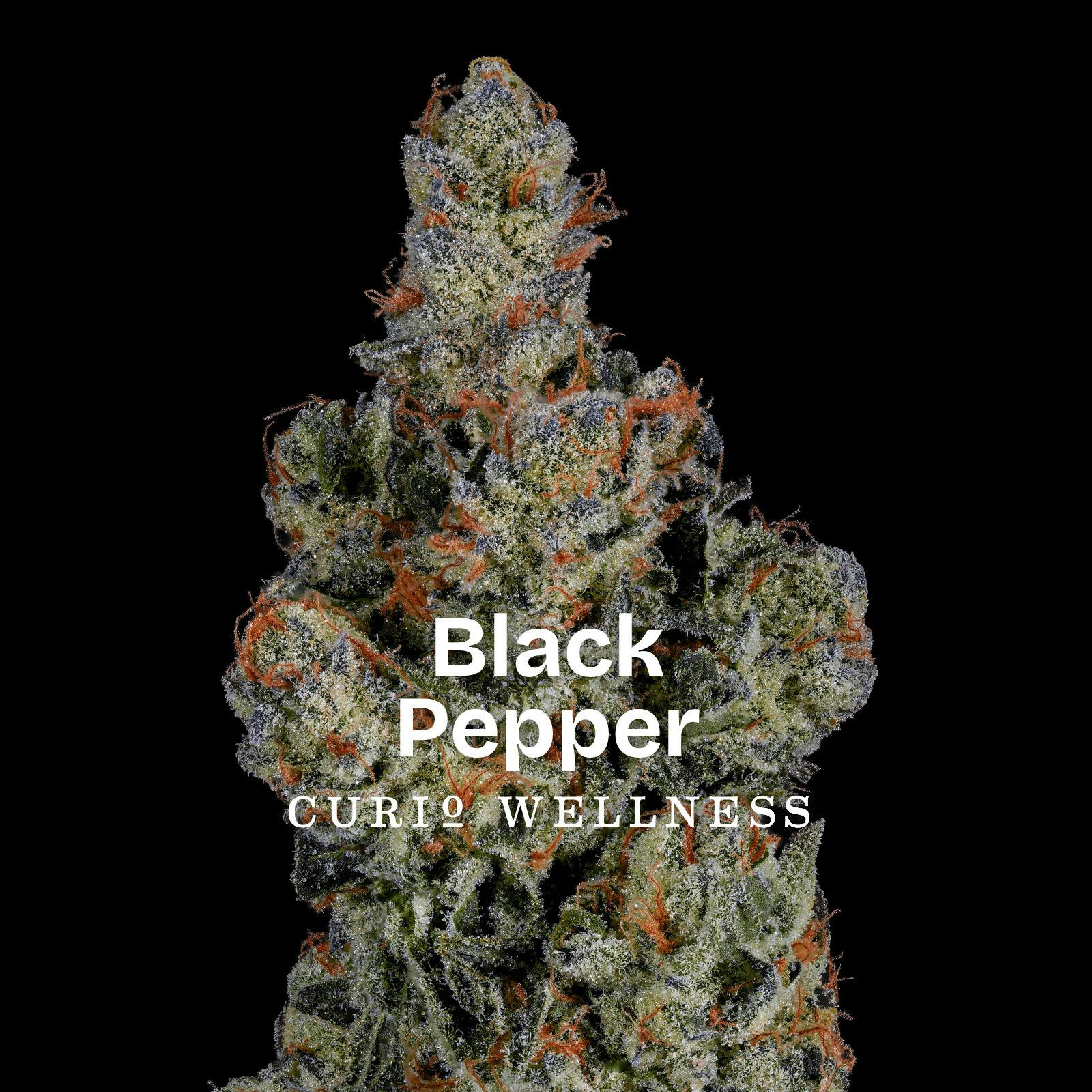 Black Pepper - 7g - Curio
