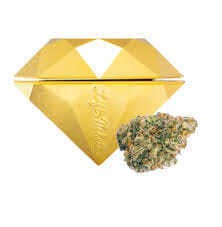 Brilliance x Lift: Tickets - Sunset Sherbest X Z Strain - Bigs - 3