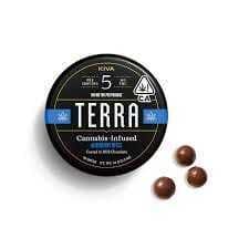 KIVA - Terra Blueberry Bites