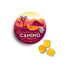 CAMINO: Camino Pineapple Habanero Uplifting