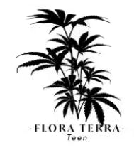 Flora Terra - Rainbow Runtz Teen - Teen Clone
