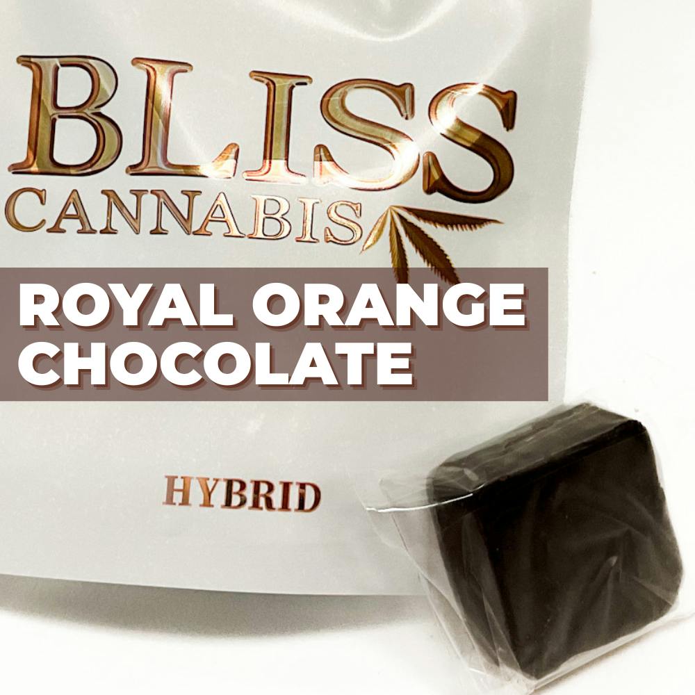 BLISS Royal Orange Hybrid Chocolate SINGLE