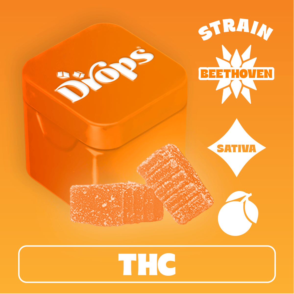 orange: Creative 2-Pk
