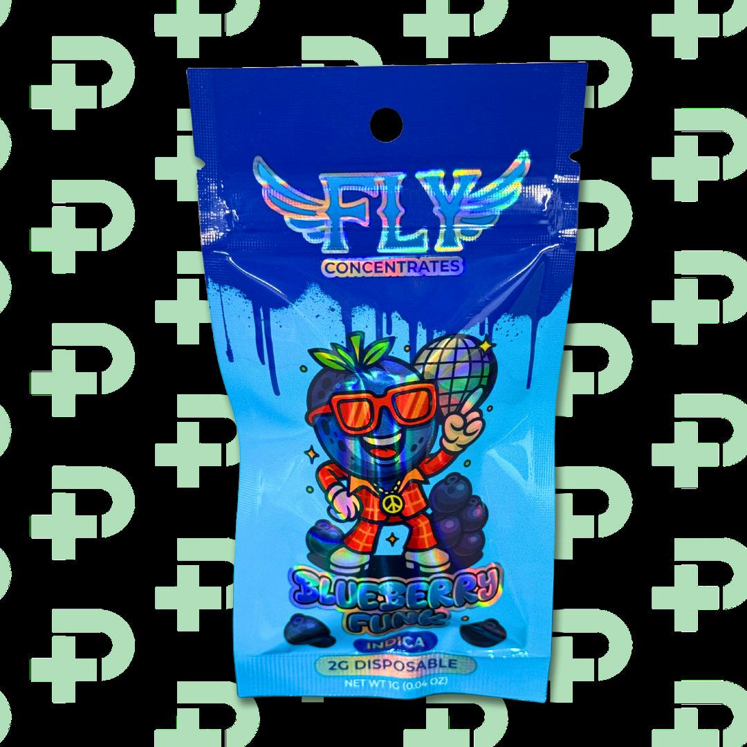 Fly 2g Disposable - Blueberry Funk