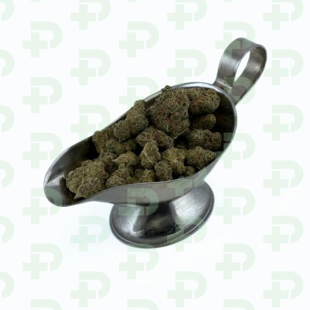 Lemon Tree Gelato - Indica