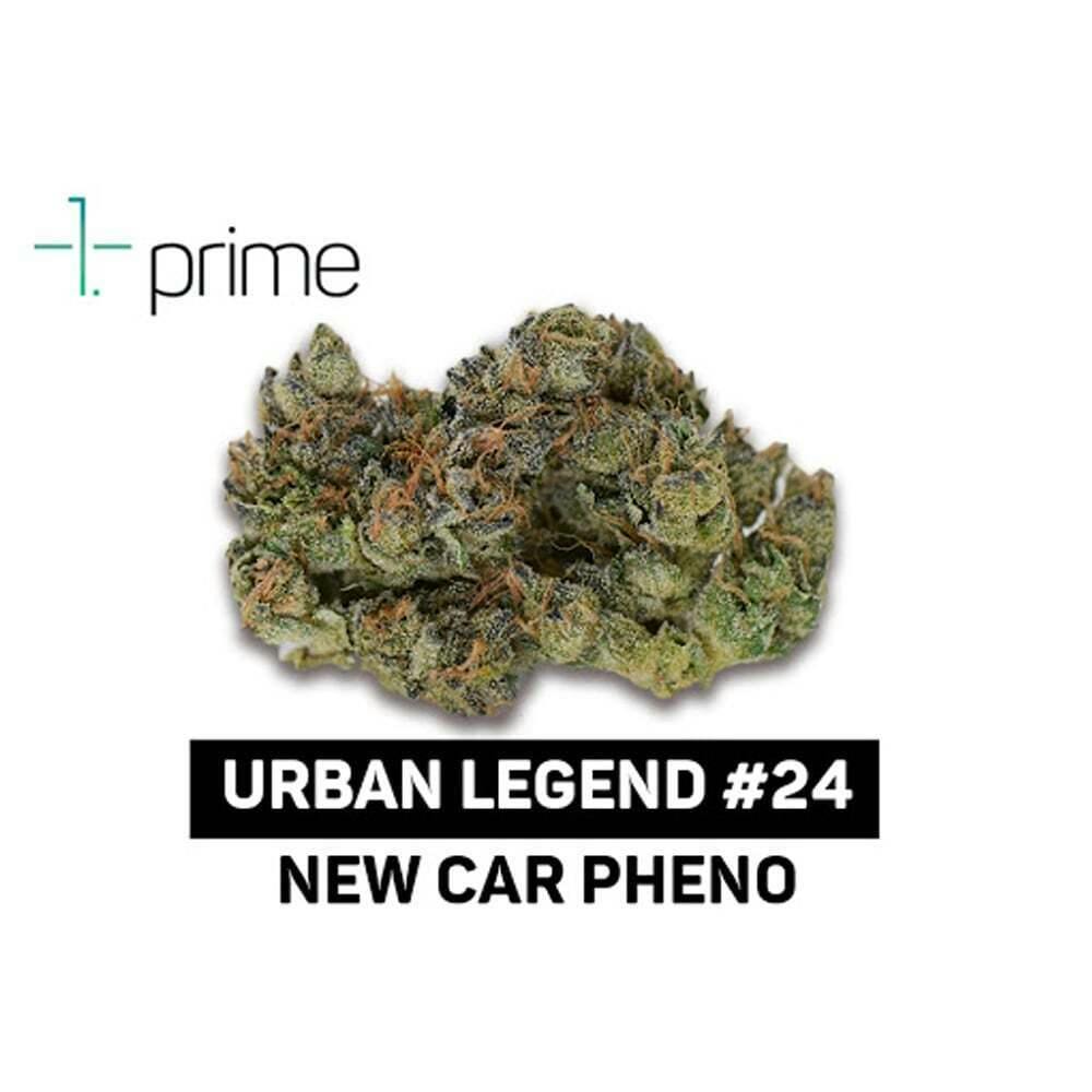 Urban Legend #24