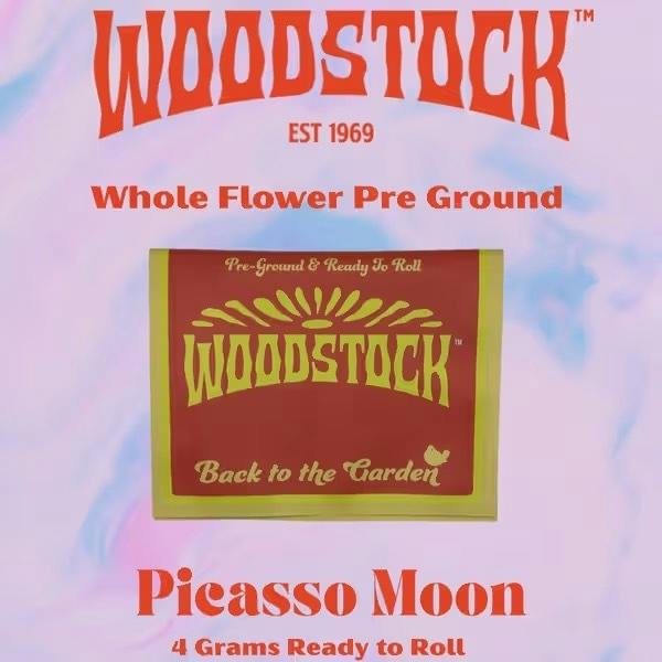PICASSO MOON