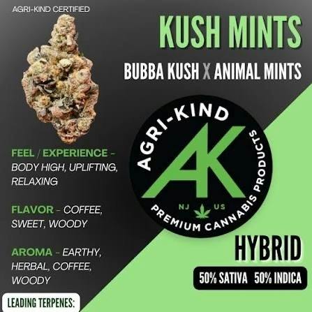 KUSH MINTS