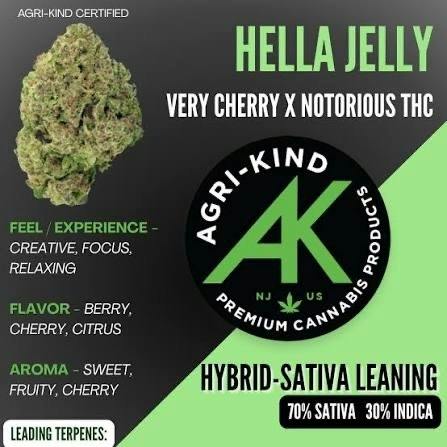 HELLA JELLY