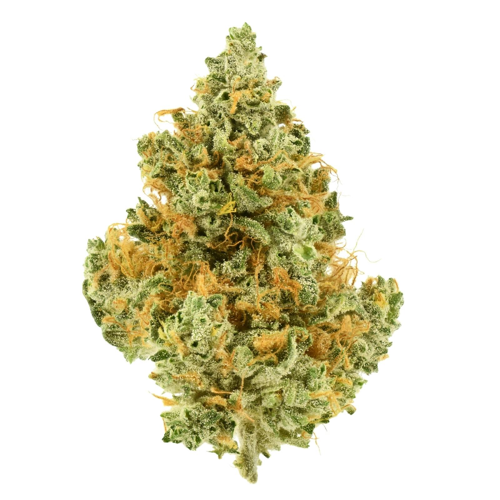 Releaf Farms | Panakia (CBG) at Desert Bloom Re-Leaf Center