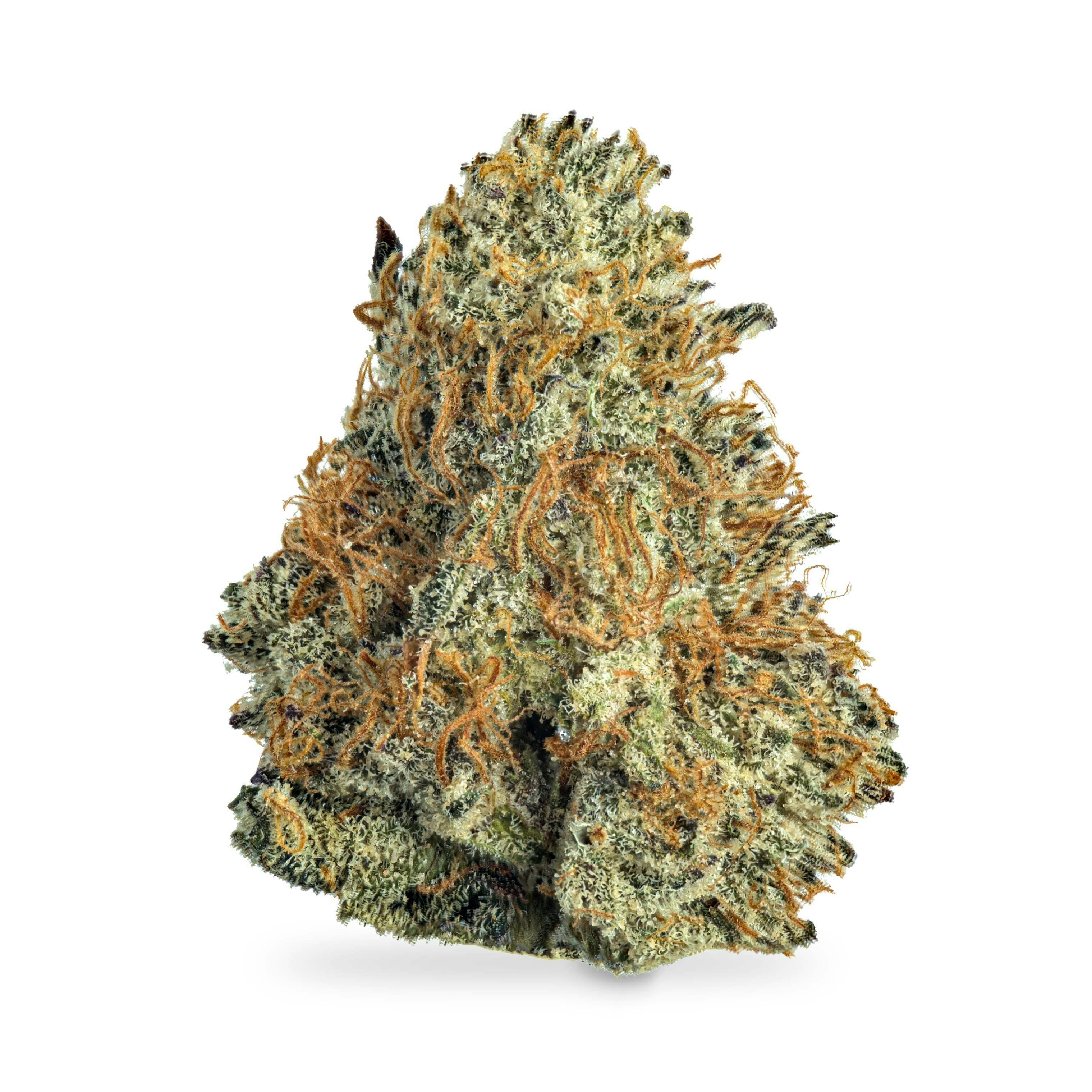 Strawberry Cookies OG
