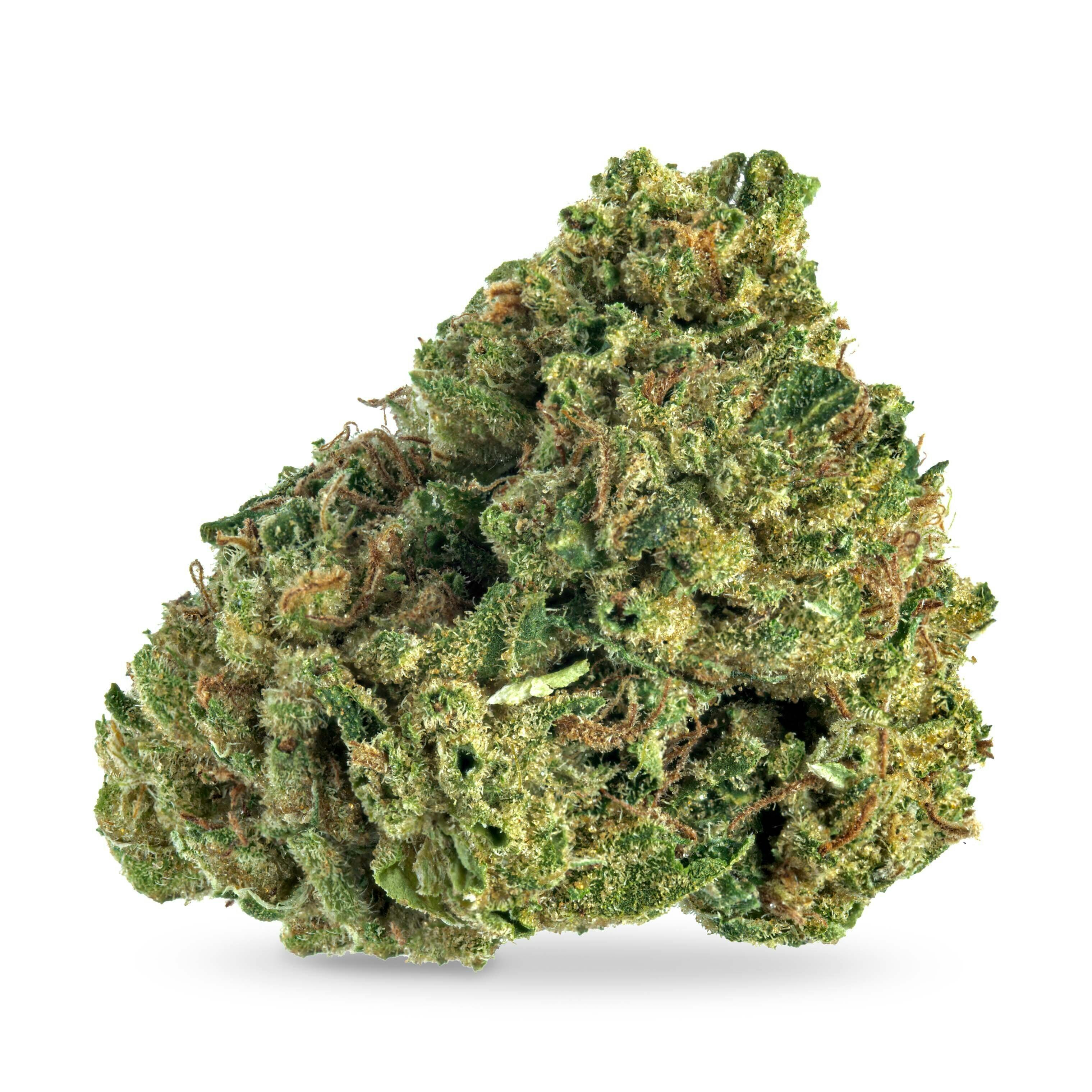 Kush Mintz ($18 Special, No Discounts)