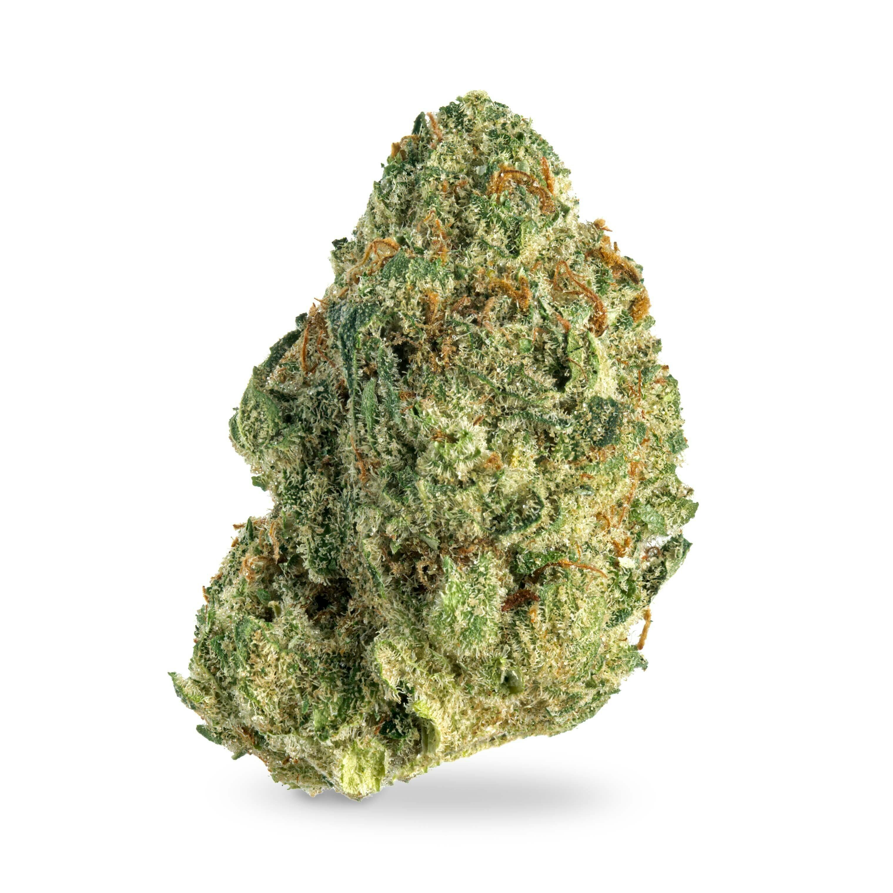 Alien Dawg