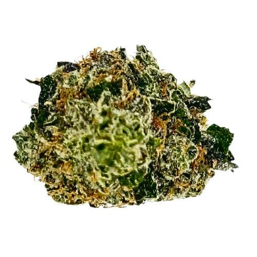 TURF Gary Payton Pre-Packed