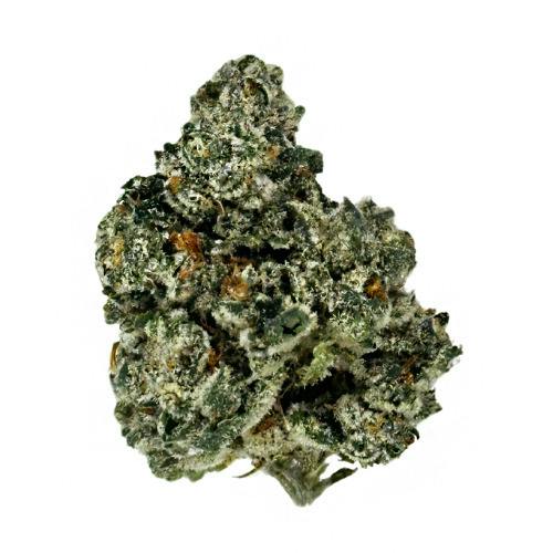 Grown Rogue High Society Pre-Packed 3.5g
