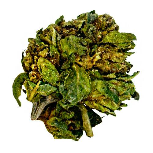 GoodLyfe Farms Garlic Budder Outdoor Pre-Packed 1oz
