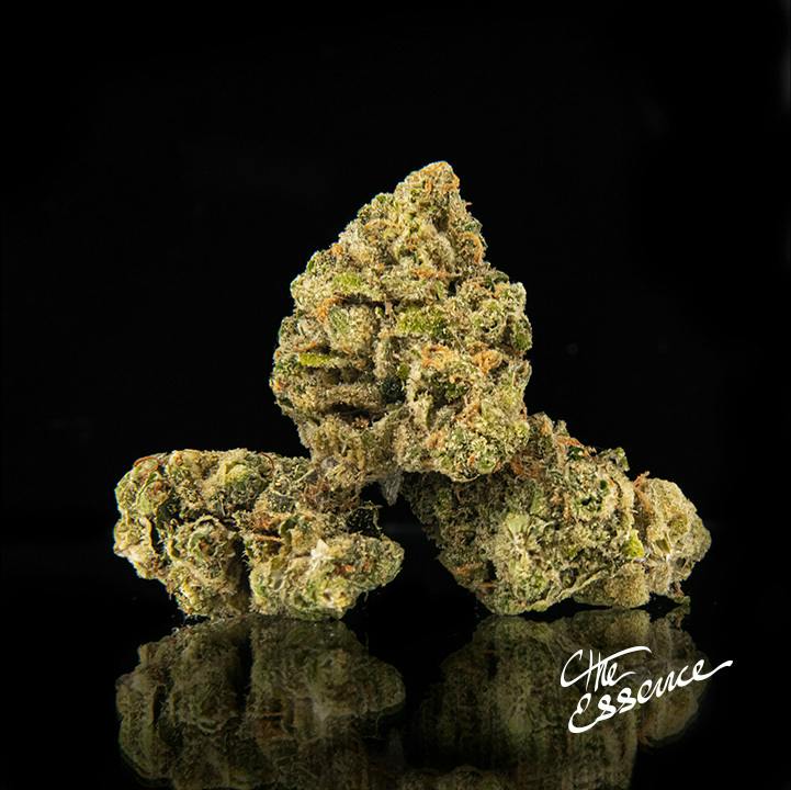 (the) Essence Gelato 41 3.5g Flower