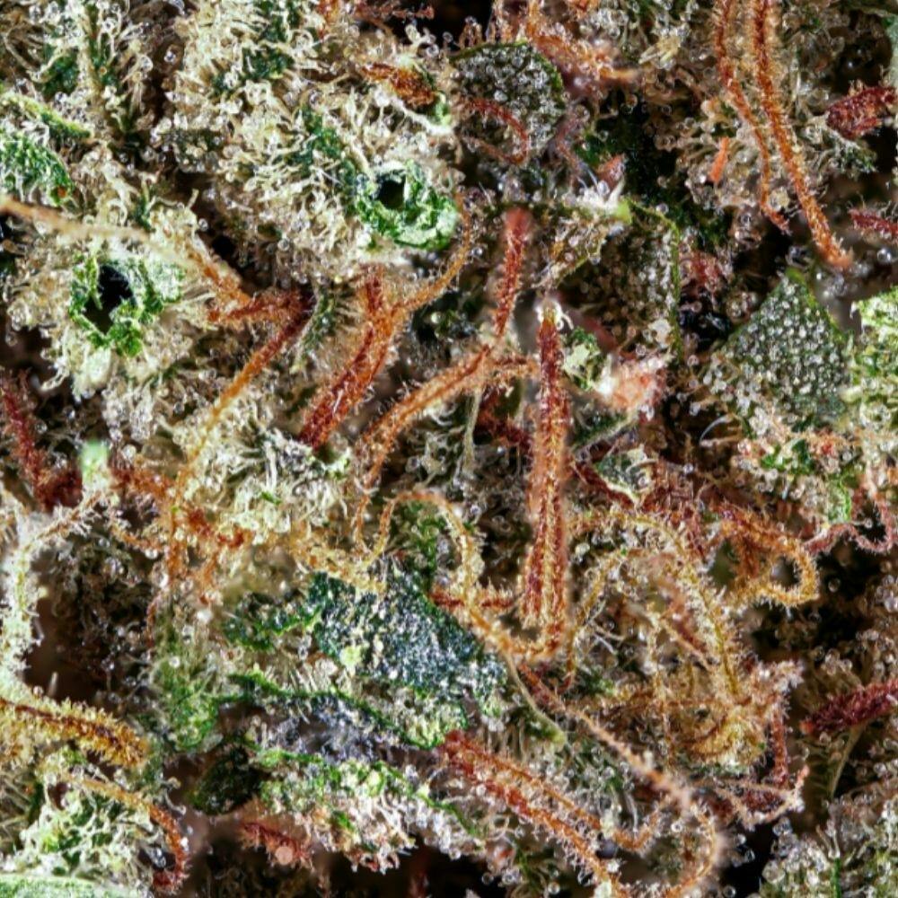 Pillow Mints