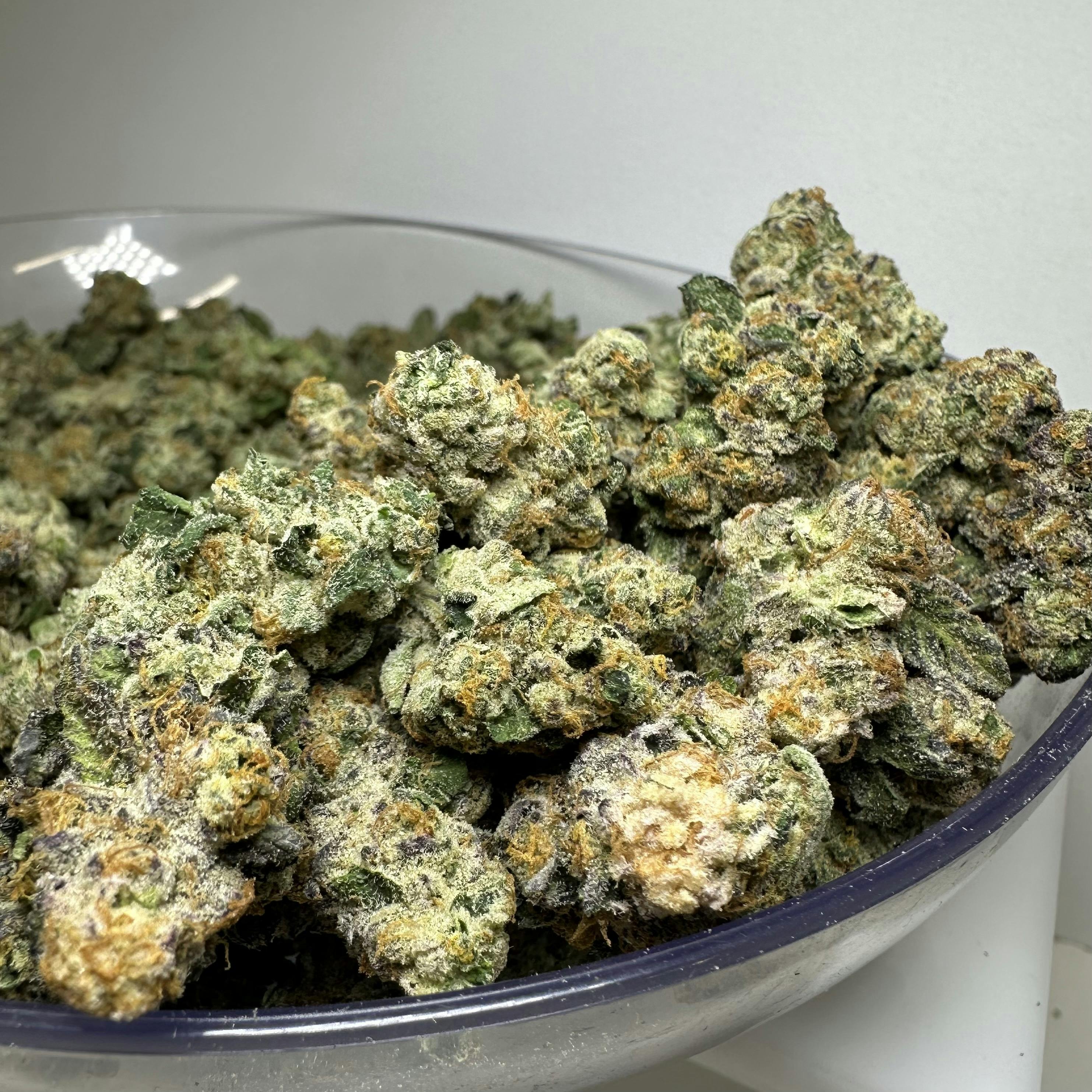 Ragged Wizard Bulk Flower - Wedding Pie