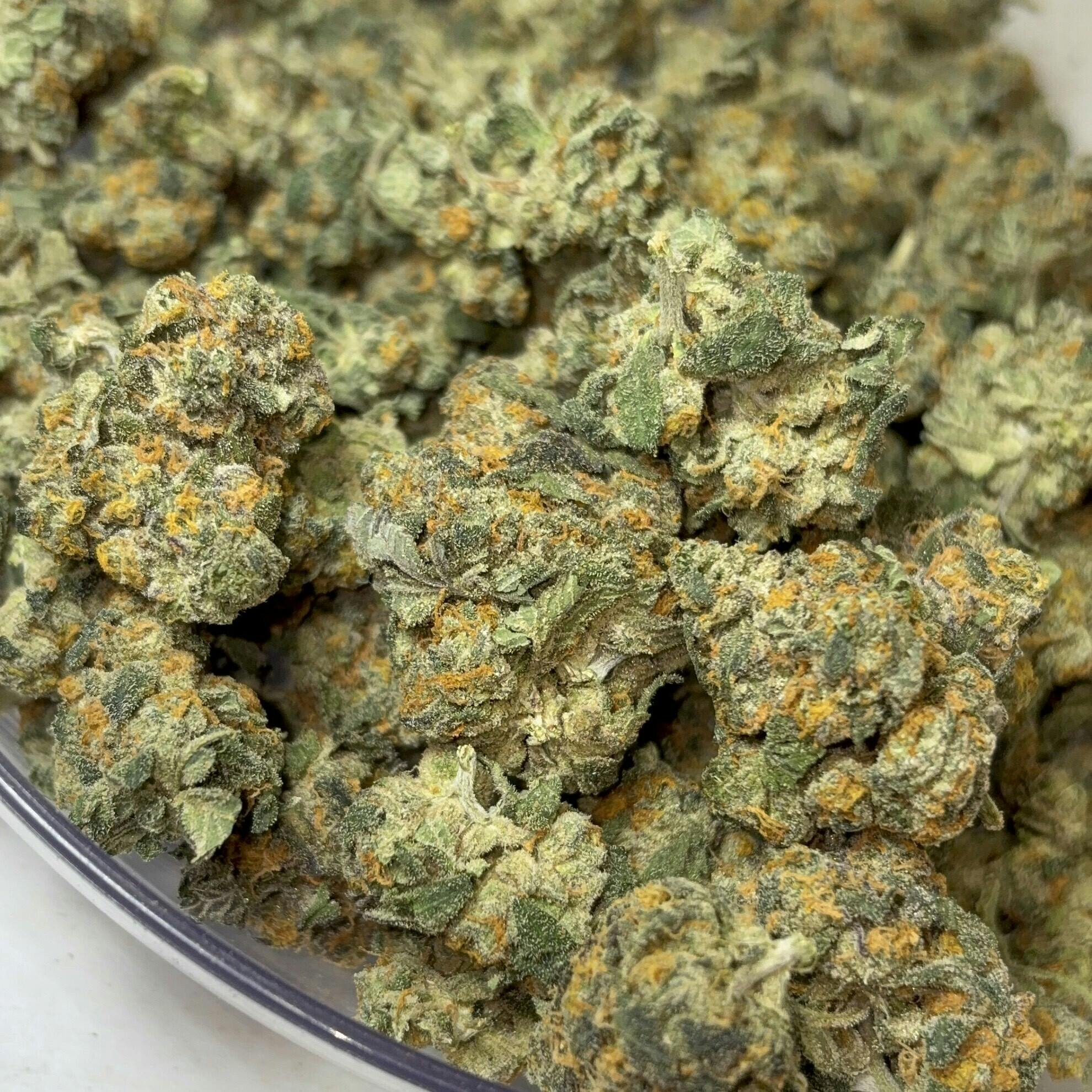 Ragged Wizard Rs 11