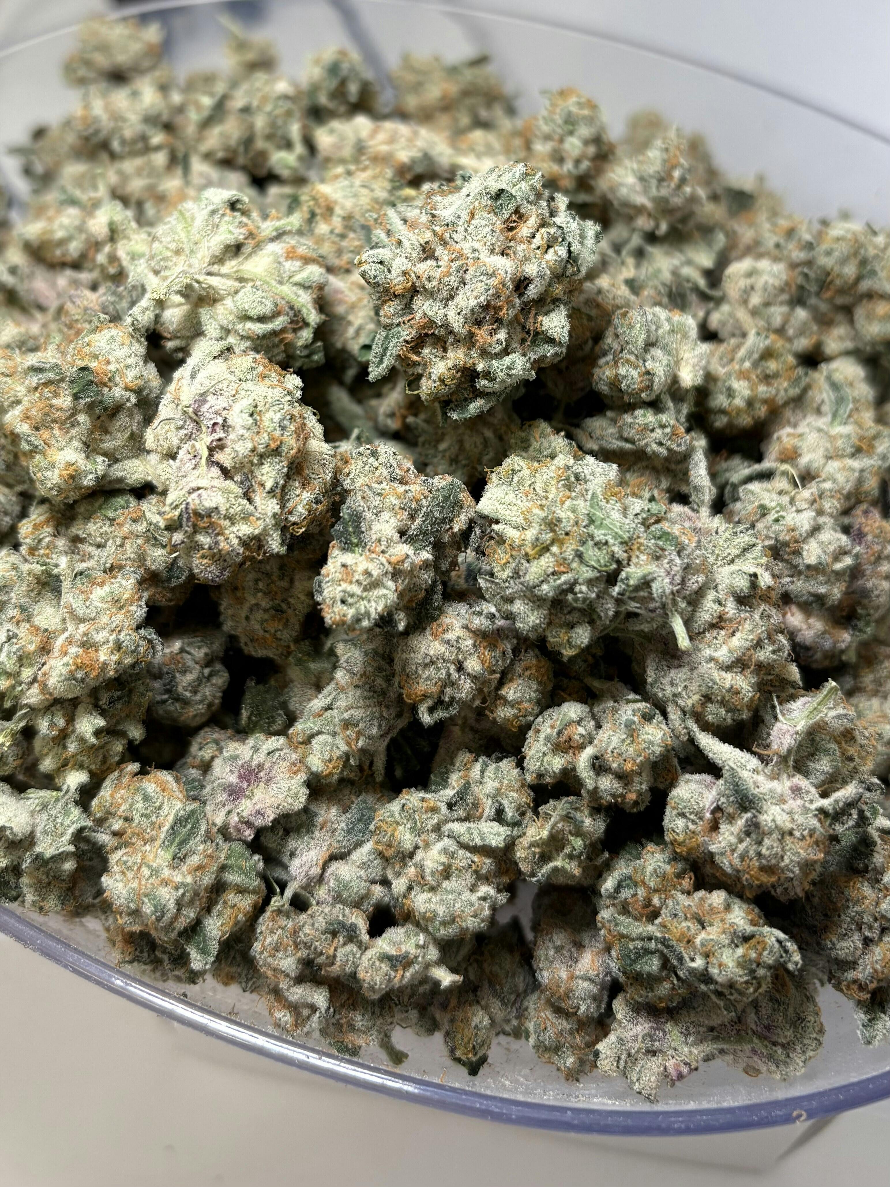 Ragged Wizard Strawberry Cough
