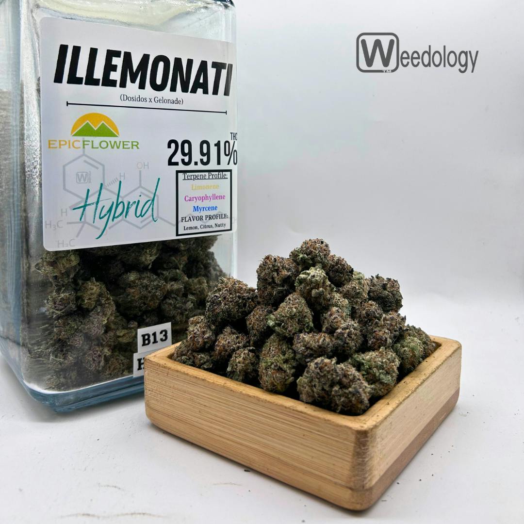 illemonati: Illemonati (H)