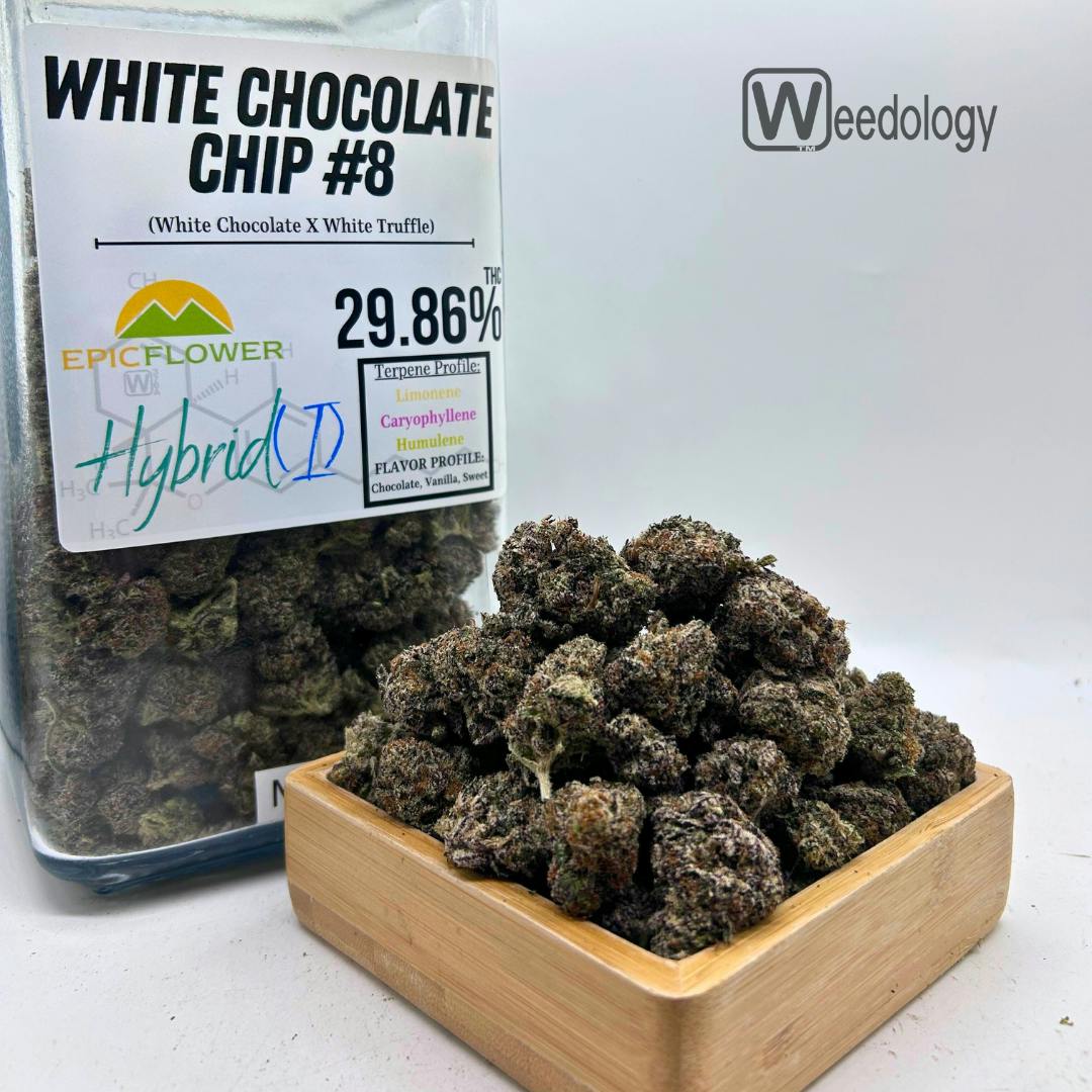White Chocolate Chip: White Chocolate Chip #8(S-H)