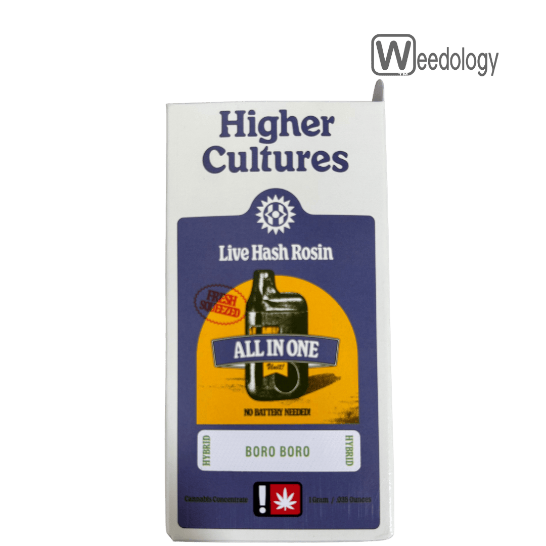 Higher Cultures: Boro Boro Live