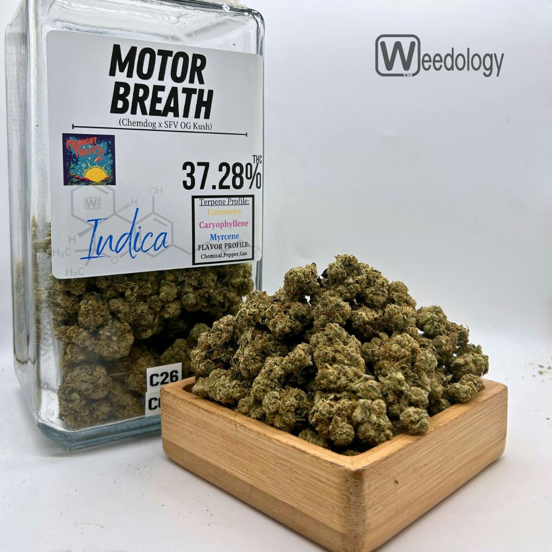 Motor Breath (I)