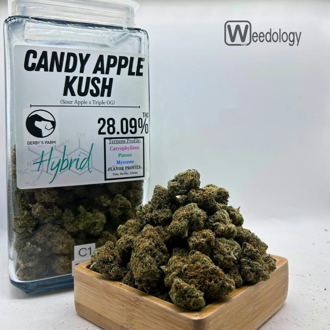 Candy Apple Kush (S-H)
