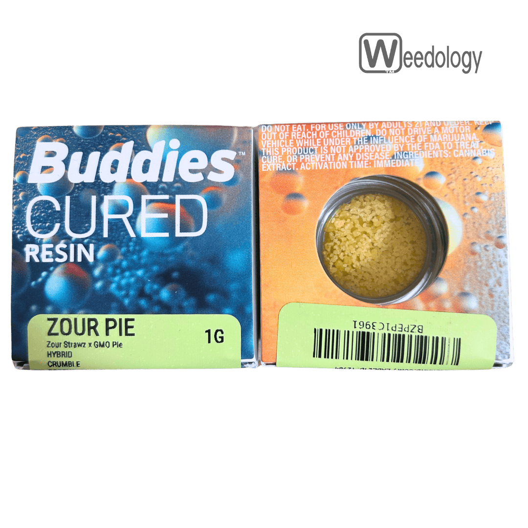Buddies: Zour Pie