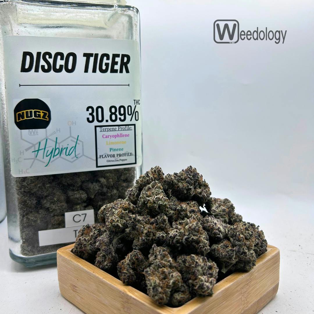 Disco: Disco Tiger (I)