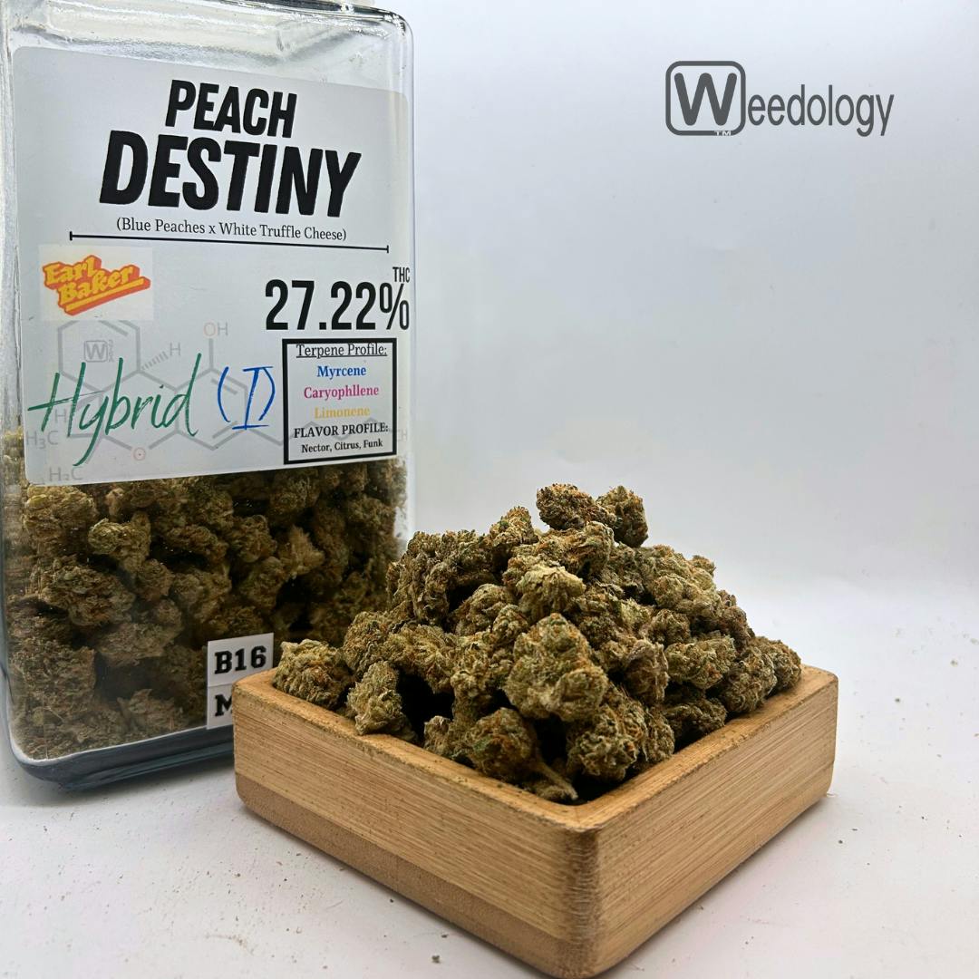 Peach Destiny: Peach Destiny (I-H)