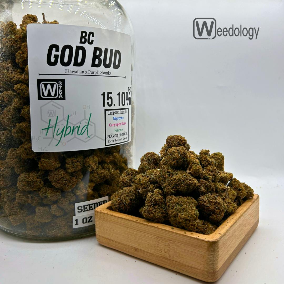 Bc God