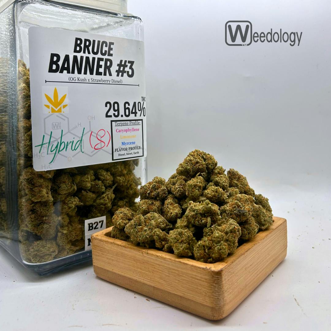 Bruce Banner #3.(S-H)
