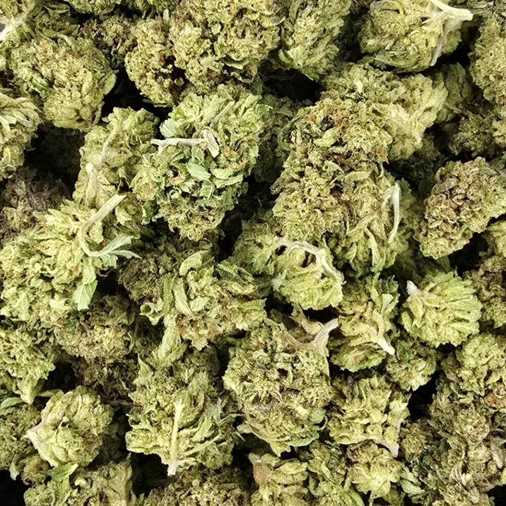 Grasshopper Farms-Fatso-Indica