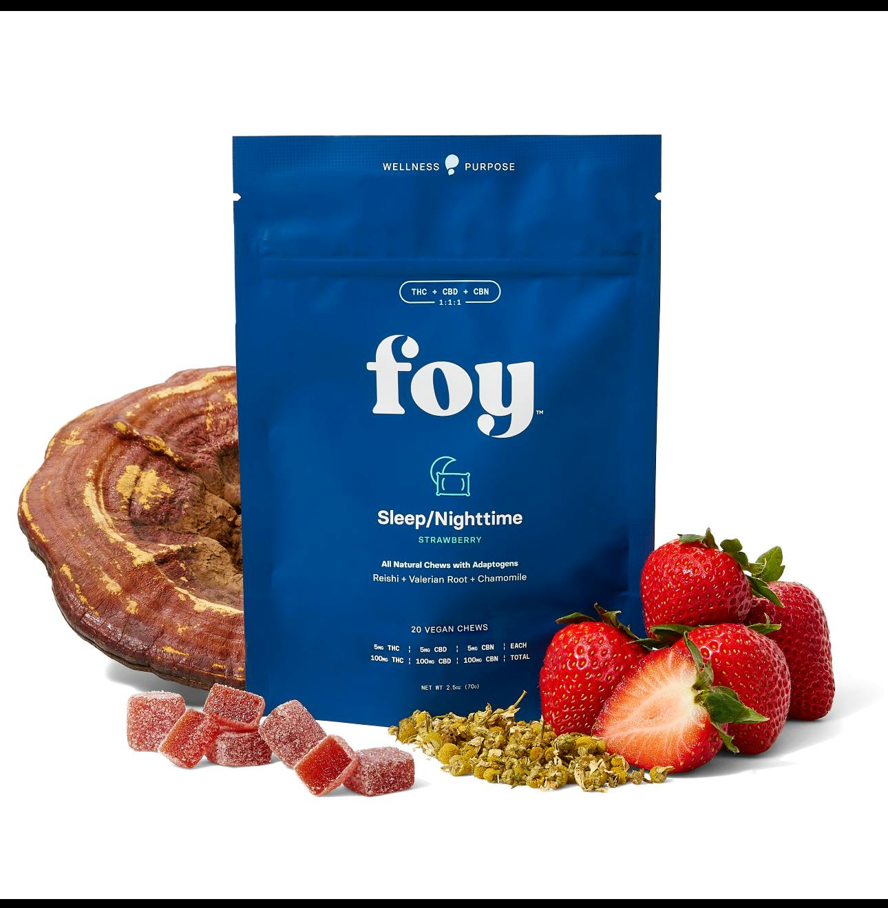 Foy Nighttime/Sleep Chews