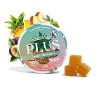 Plus - Island Maui Haze Plus Strains