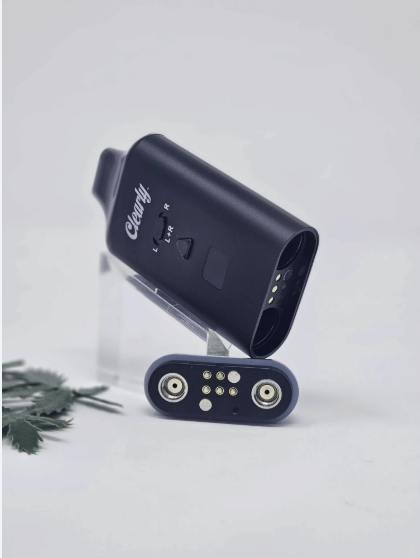 Accessories - DK Two Ripped Battery