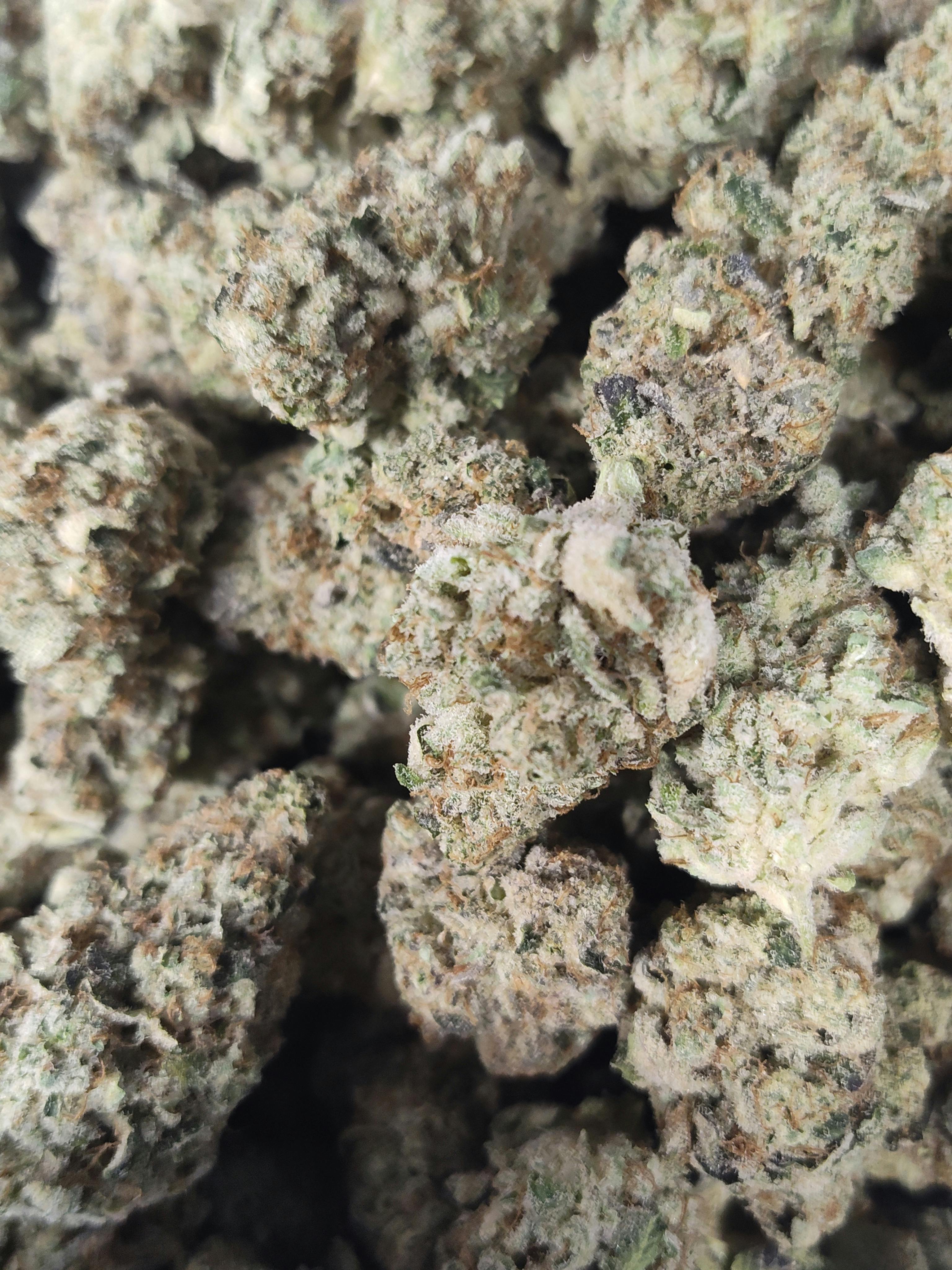 Pro Gro - Lunar Lemon - Bulk Flower