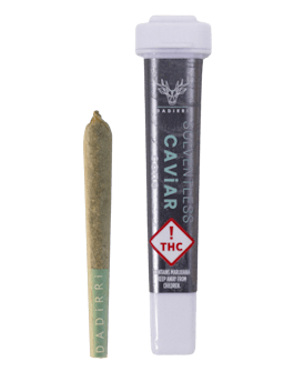 Dadirri Solventless Caviar Bitty Sativa Joint .5g