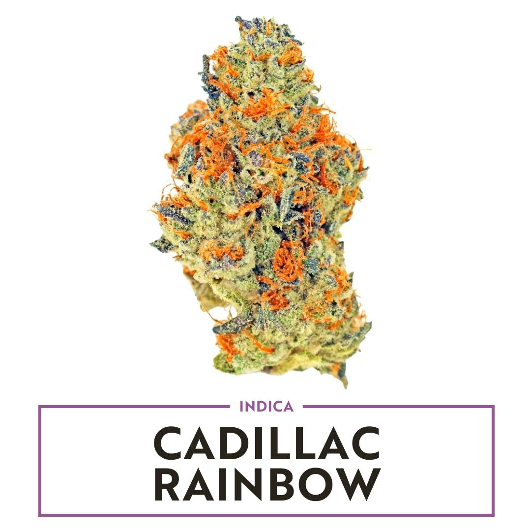 Cadillac Rainbow
