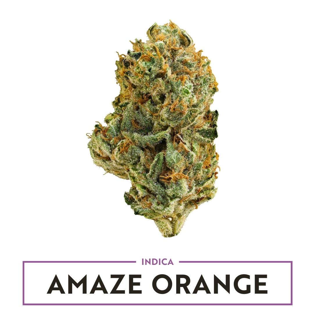 AMAZE Orange