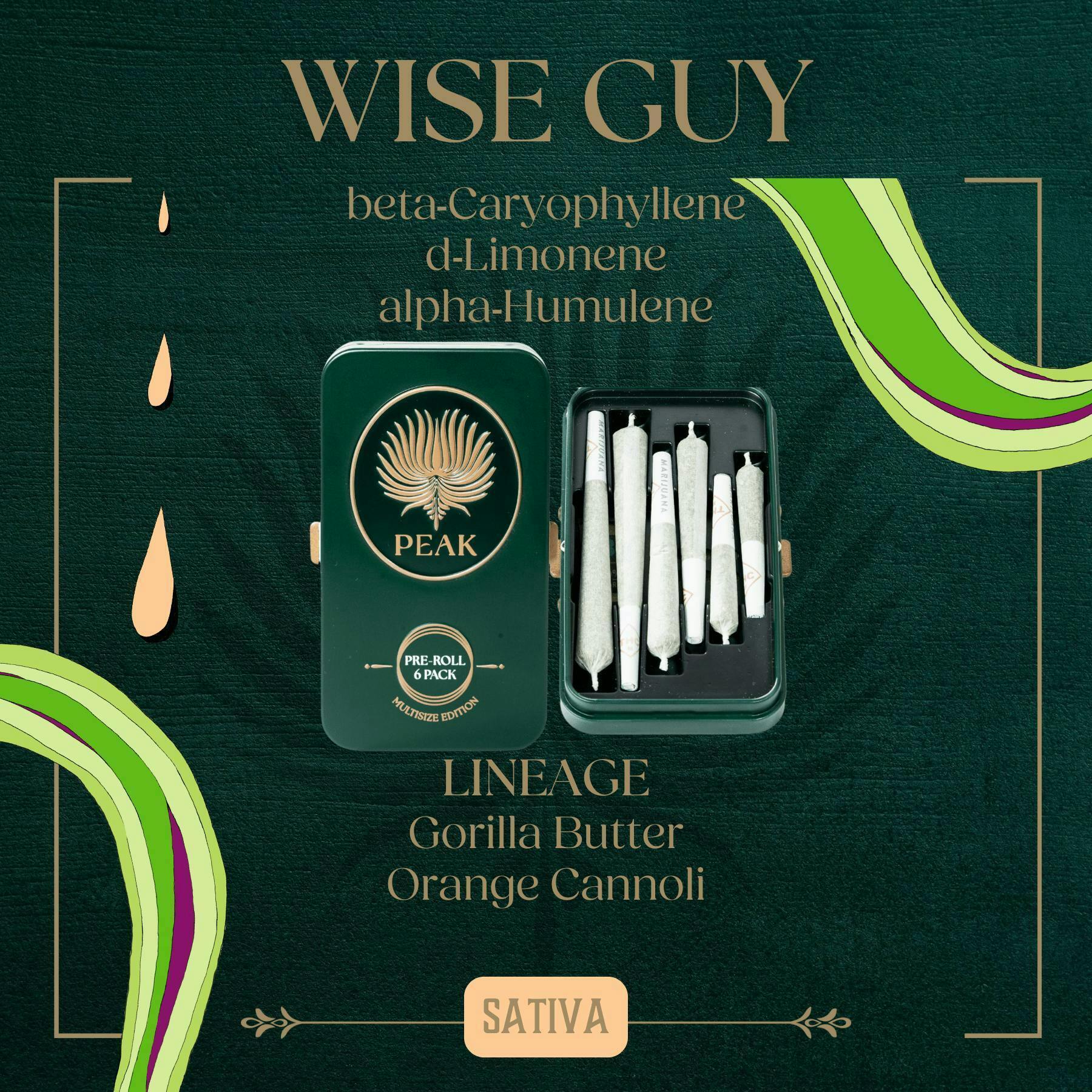 Wise Guy | PreRoll 6pk