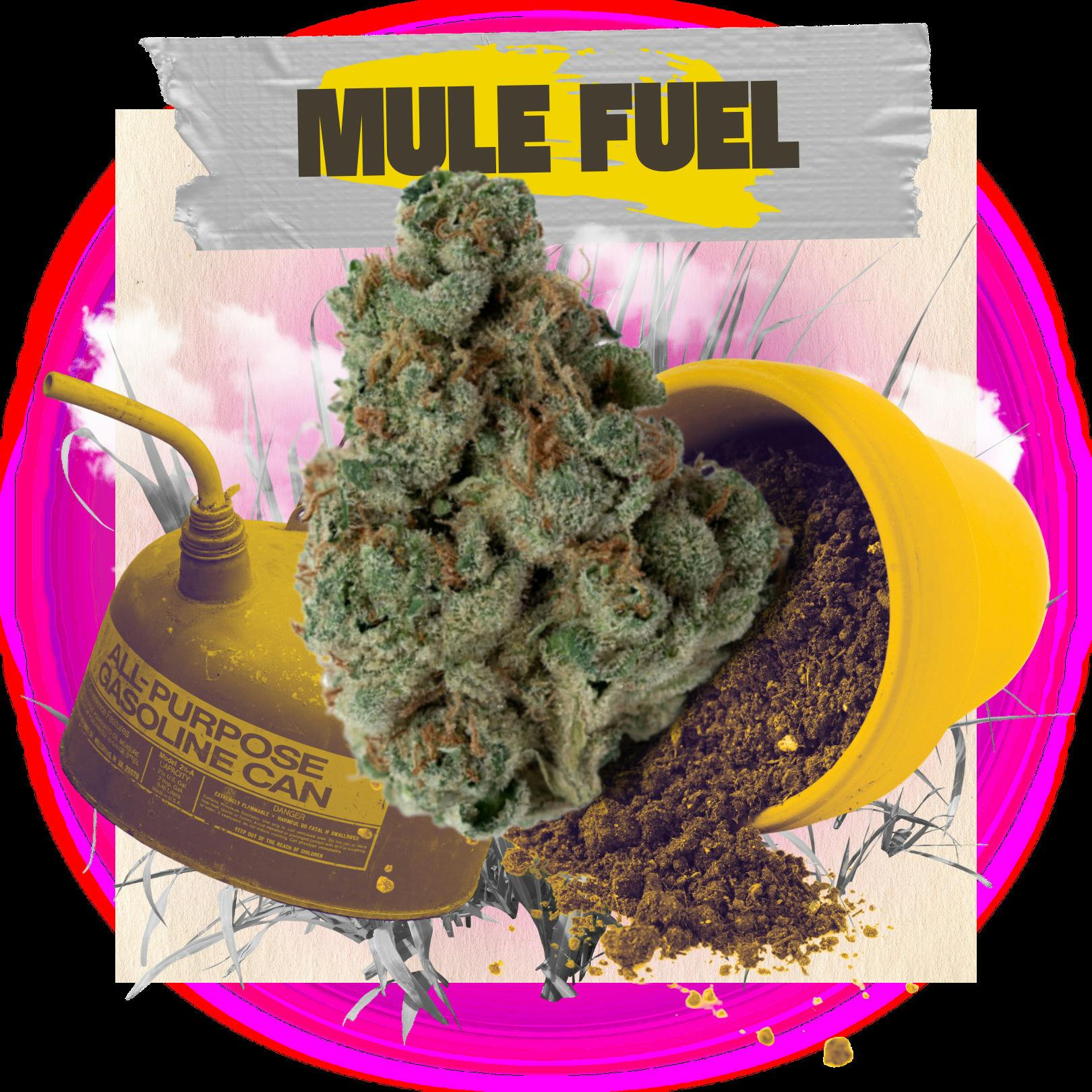 Mule Fuel