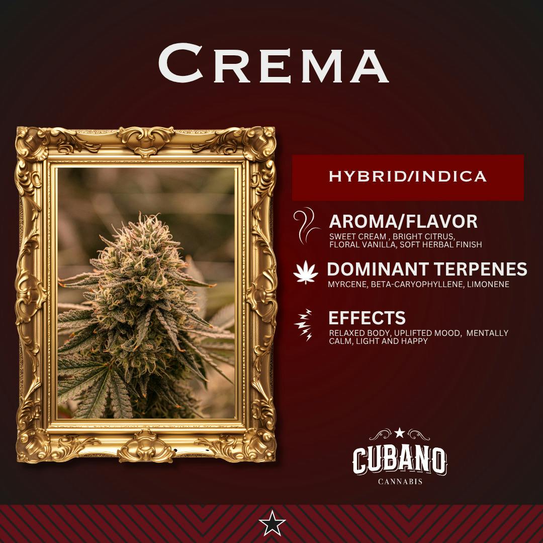 Crema