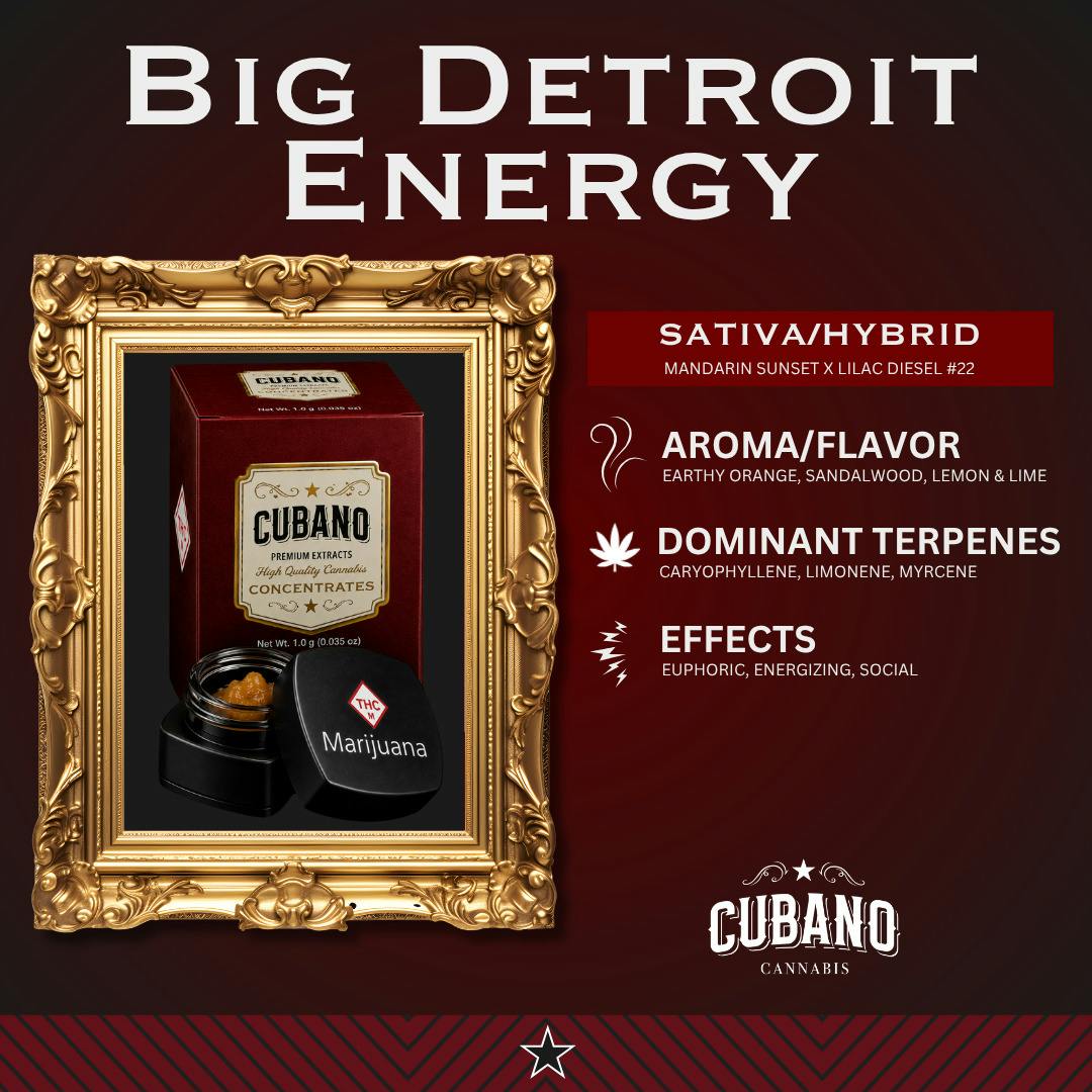 Big Detroit Energy | Live Resin
