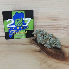207 Hydro Farm 🧀Cheddar Cheese🧀 "Hybrid" 7 Gram