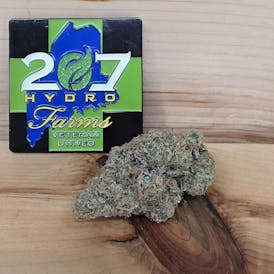 207 Hydro Farm🏎️ Detroit Runtz🕴️ 14 Grams "Hybrid"