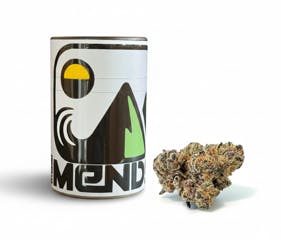 Mellowz: By Mendo